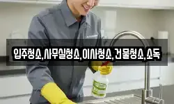 입주청소,사무실청소,이사청소,건물청소,소독