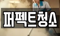 퍼펙트청소