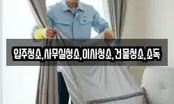 입주청소,사무실청소,이사청소,건물청소,소독