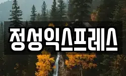 정성익스프레스