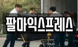 팔마익스프레스