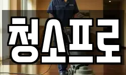 청소프로