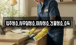 입주청소,사무실청소,이사청소,건물청소,소독