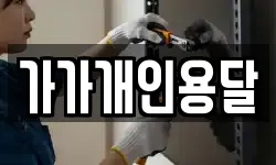 가가개인용달