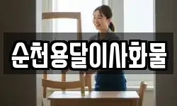 순천용달이사화물