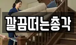 깔끔떠는총각