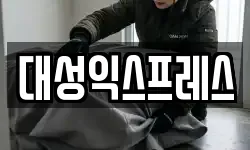 대성익스프레스