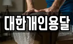 대한개인용달