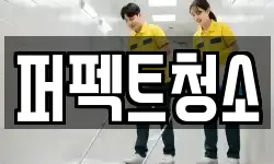 퍼펙트청소