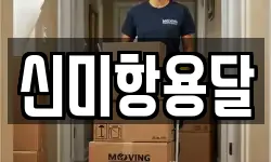 신미항용달