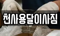 천사용달이사짐