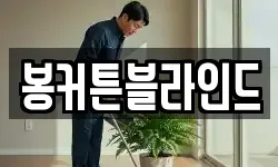봉커튼블라인드