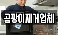곰팡이제거업체