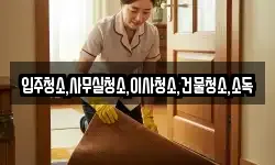 입주청소,사무실청소,이사청소,건물청소,소독