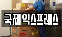 국제익스프레스