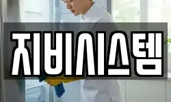 지비시스템