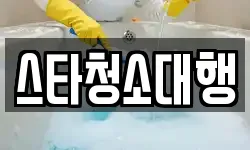 스타청소대행