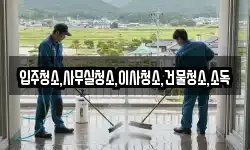 입주청소,사무실청소,이사청소,건물청소,소독