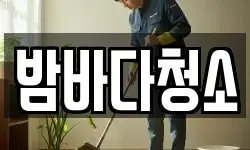 밤바다청소