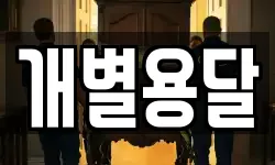 개별용달