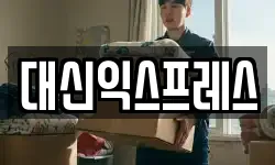 대신익스프레스