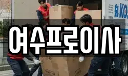 여수프로이사