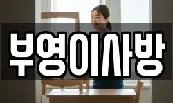 부영이사방
