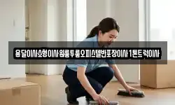 전남 여수시 중앙동 이사,용달이사,포장이사,원룸이사,보관이사