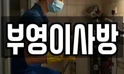 부영이사방