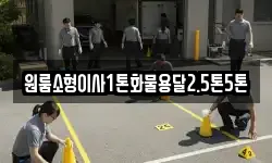 전남 여수시 평여동 이사,용달이사,포장이사,원룸이사,보관이사