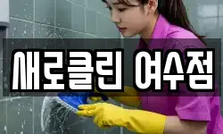 새로클린 여수점