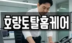 호랑토탈홈케어
