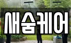 새숨케어