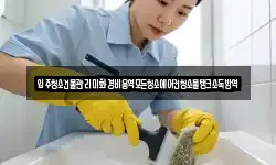 입주청소건물관리미화경비용역모든청소에어컨청소물탱크소독방역