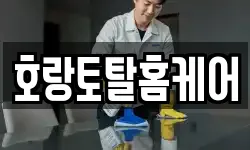전남 여수시 화정면 청소,입주청소,사무실청소,에어컨청소