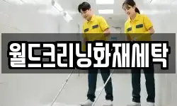 월드크리닝화재세탁