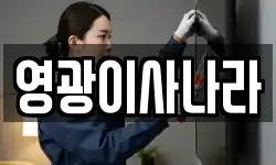 영광이사나라