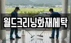 월드크리닝화재세탁
