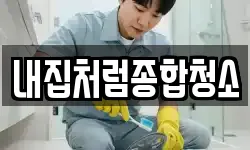 내집처럼종합청소