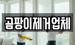곰팡이제거업체