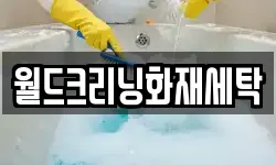 월드크리닝화재세탁