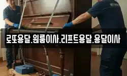 전남 완도군 고금면 이사,용달이사,포장이사,원룸이사,보관이사