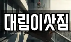대림이삿짐