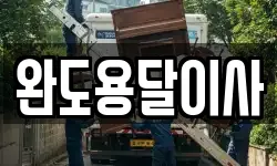 완도용달이사