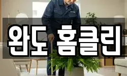 완도 홈클린