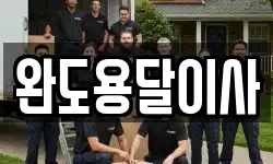 완도용달이사