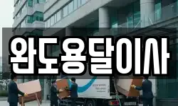 완도용달이사