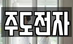 주도전자