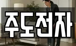 주도전자