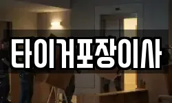 타이거포장이사